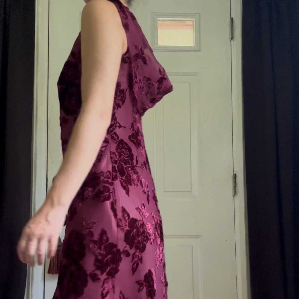 Vintage 90s Whimsigoth Burnout Velvet Dress - Picture 7 of 15